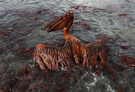 what was the bp oil spill